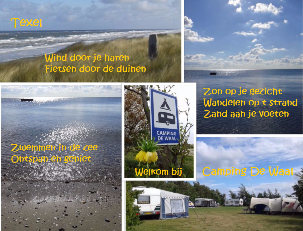 Camping de waal